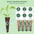 thumbnail image 3 of Plant Growing Basket Planting Set 50 Planting Baskets + 50 Transparent Covers + 50 Planting Cotton + 50 Stickers, 3 of 8