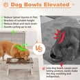 thumbnail image 4 of Comedero elevado para perros Piskyet con soporte de 2 cuencos de acero inoxidable de 55 oz, 4 of 7