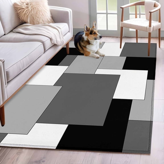Hallway Runner Rug 2.7'x5',Black Grey Long Non-slip Runner Rugs,Middle Century Irregular Geo Abstract Art Washable Outdoor Indoor Throw Floor Carpet Mat for Living Room/Bedroom/Kitchen/Office/Laundry