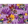 Powerpuff Girls Folded Wrapping Paper (1ct)