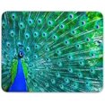 thumbnail image 1 of Beautiful peacock Mouse pad mice pad the office mat Mousepad Nonslip Rubber Backing, 1 of 2