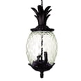 thumbnail image 1 of HomeRoots Lanai Matte Black Cast Aluminum Pineapple Wall Light 3-Light, 1 of 1