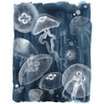 thumbnail image 3 of Popp, Grace 15x18 Black Modern Framed Museum Art Print Titled - Moon Jellies I, 3 of 5