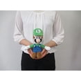 thumbnail image 2 of Super Maro All Star Collection 10" Luigi Plush, Small, 2 of 3
