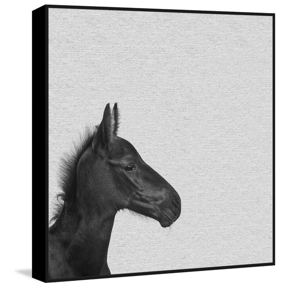 Marmont Hill Mh-Pekabo-8951-Bffdl-18 18" X 18"