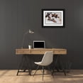 thumbnail image 3 of Unknown 14x11 Black Ornate Wood Framed with Double Matting Museum Art Print Titled - Sitting Ducks, 3 of 4