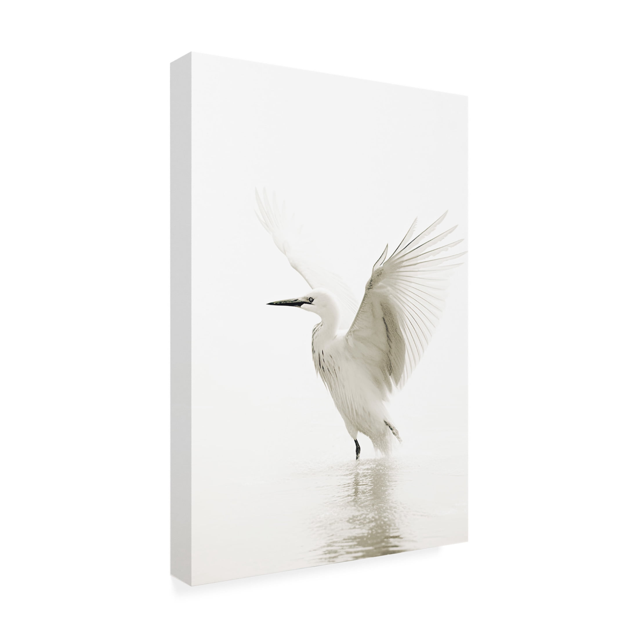 Canvas Wall Art - Sasha 'White Bird' Wall Art for Living Room, Bedroom, or Office Décor by Trademark Fine Art - 16 x 24 Inches