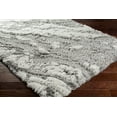 thumbnail image 3 of Livabliss Area Rugs for Living Room, 2x3 Alta Shag Modern Gray Rug, Bedroom Dining Room Home Decor Stain Resistant Carpet (2' x 2'11"), 3 of 6