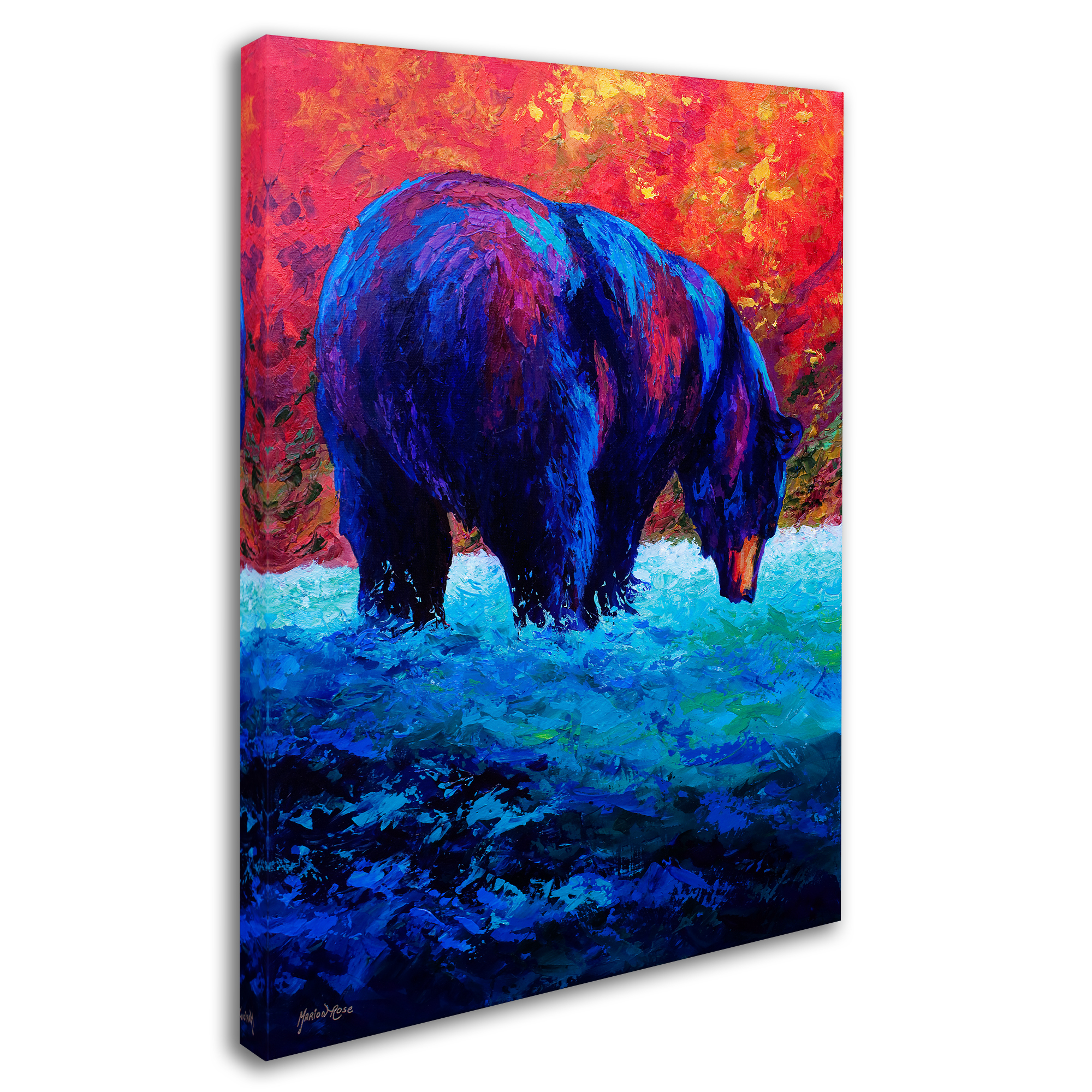 Trademark Fine Art 'Sashimi Daze' Canvas Art by Marion Rose