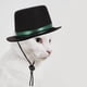thumbnail image 1 of Luxshiny Wear Resistant Black Pet Bowler Hat for Dogs and Cats Comfortable and Lightweight, 1 of 8