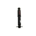 thumbnail image 1 of Amortiguador Belltech Nitro Drop 2 1,9 kg 50x20x22 cm, 1 of 2