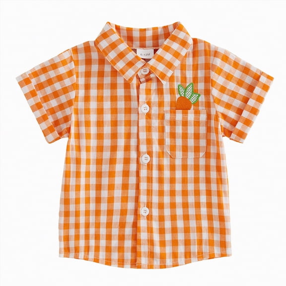 CAICJ98 Toddler Baby Boy Easter Outfit Carrot/Bunny Embroidery Plaid Print Short Sleeve Button Down Shirt Spring Summer Clothes (Orange,2-3 Years)