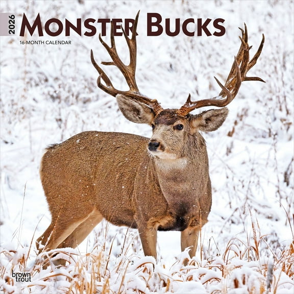 Monster Bucks | 2026 12x24" (Hanging) Square Wall Calendar | Plastic-Free