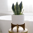 thumbnail image 4 of La Jolie Muse Ceramic Planter with Wood Stand - 8 Inch White Cylinder Embossed Hobnail Patterned Flower Plant Pot Indoor, 4 of 10