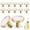 White-12 Pack, variant on White 12 Pack Hardware Knobs For Dresser Drawer Cabinet Kitchen Cupboard Door