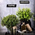 thumbnail image 3 of LCXmlly Fridge Storage Rack Rustproof Plant Stakes Reusable Wide Application Labeling Stand (15Pcs Garden Supplies), 3 of 6