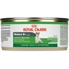(Case of 24) Royal Canin Appetite Stimulation Small Breed Senior Wet Dog Food, 5.8 oz
