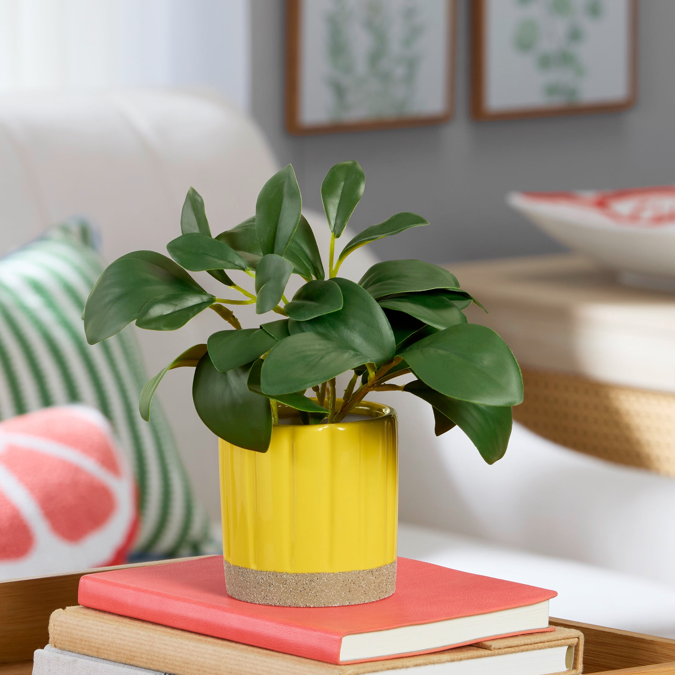 Mainstays by Becky G. & Alejandra 8 in Artificial Peperomia in Yellow Two-Tone Ribbed Ceramic Pot
