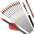 thumbnail image 5 of SHARROW 31" Carbon Arrows Hunting Arrows Spine 250 300 350 400 500 600 with Replaceable Points Targeting Practice Arrows for Compound/Recurve/Long Bow 6/12pcs, 5 of 7