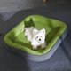thumbnail image 3 of Pet Dog Bed Soft Warm Sleeping Mat On The Floor Winter Dog Cat Sofa Beds Puppy Cushion Houses Habitats Small Medium Pet Supplies ShopWise Round, 3 of 9
