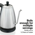 Hamilton Beach Gooseneck Kettle, 1.2 Liter Capacity, Stainless Steel, 40899