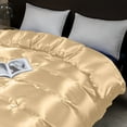 thumbnail image 3 of Luxurious Silk Satin Duvet Cover with Hidden Zipper, Soft and Lightweight Bedding, Tear-Proof, Easy Care, for Home or Gift., 3 of 5