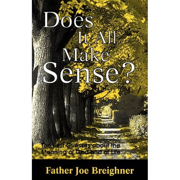 Pre-Owned Does It All Make Sense?: Ten Best Guesses About the Meaning of God and of Life (Paperback) 096623930X 9780966239300