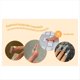 thumbnail image 4 of Almohadilla de Teclado para Manicura Femenina. Membrana Protectora para Dispositivos de Escritura de Oficina. Película para Teclado para Uñas Largas C, 4 of 5