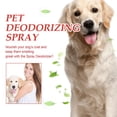 thumbnail image 4 of potrochi Pet Deodorizer Spray, Pets Deodorizer Perfume For Pets, Dog Perfume Spray, Pet Odor Neutralizer Spray, Dog Scent Spray, Best Odor Eliminating Spray for Dogs Coat, 4 of 9