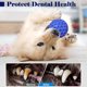 thumbnail image 5 of Juguetes interactivos para perros con pelota para perros medianos, alivio de la ansiedad, juguetes para perros pequeños para limpieza de dientes de perros, juguetes para perros al aire libre, los mej JAMW  Sencillez, 5 of 5
