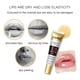 thumbnail image 5 of Clearance Sale! 17ml Instant Volumising Lip Plumper Moisturising Collagen Argan Oil Balm (Buy 2 get 1 free), 5 of 9