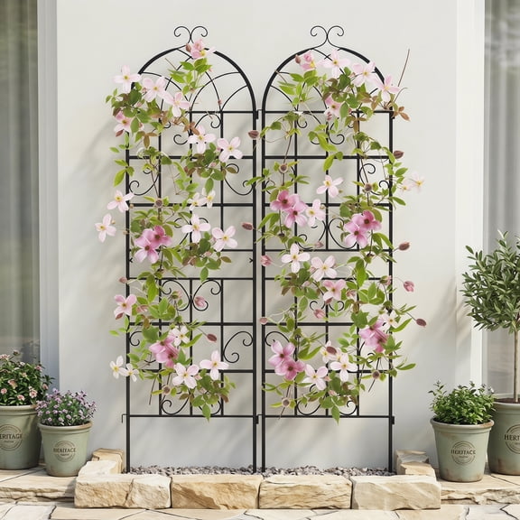 Resenkos 2/4 Pack 71 x 20 Inch Metal Garden Trellis for Climbing Plants-Set of 2