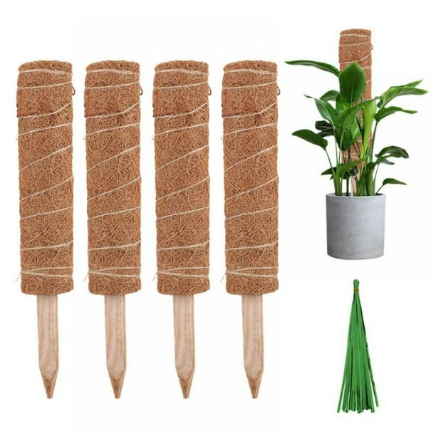 4 Pcs Coir Totem Pole Moss Sticks for Indoor Plants Climbing, Plant