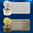 thumbnail image 4 of White Crystal Growing Tree Science Experiment Kit For Kids Magic Tree Crystal Lab Project 6.3 Inch Steam Educational Toy With Growing Powder Stirring Rod And Instruction Sheet 4-7 Days Gro, 4 of 4
