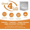 thumbnail image 6 of NutriSource with Wholesome Grains Lamb Meal & Rice Recipe Dog Food 12 lb, 6 of 6