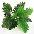 thumbnail image 4 of Wosthever Hojas de plantas artificiales, hoja de tela de seda, decoración de plantas para el hogar y la Oficina Plantas Artificiales, 4 of 5