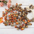 thumbnail image 4 of Vnanda 50Pcs Artificial Fake Nutty Craft Acorns with Natural Cap Simulation Fruit Props for Vase Filler Home House Autumn Favor Thanksgiving Day Christmas Wedding Decor, 4 of 7