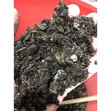 BuildASoil Light Soil (1 Cubic Foot)
