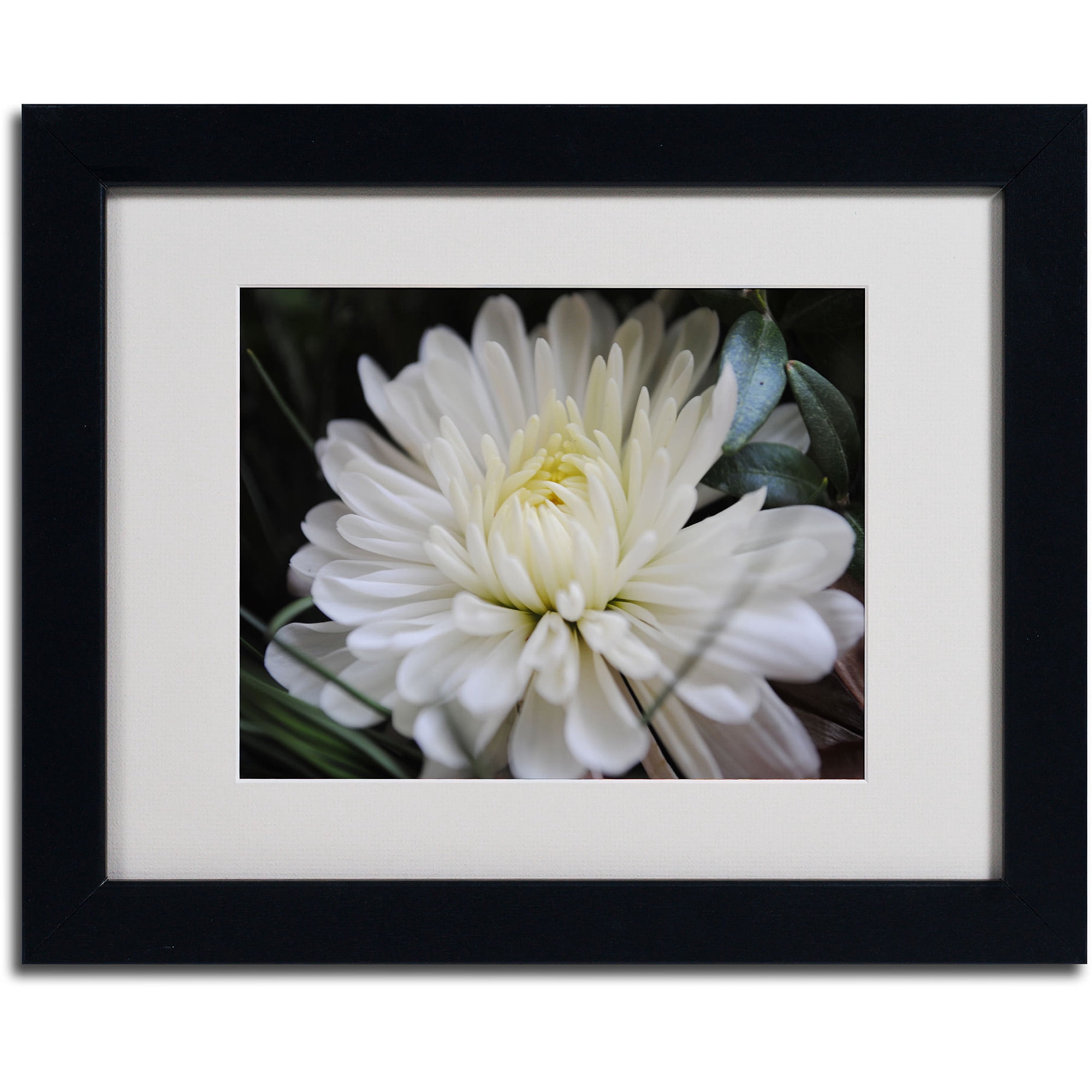 Trademark Fine Art "Vintage Culture" by Monica Fleet, Black Frame