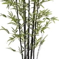 thumbnail image 4 of Vintage Home Artificial Faux Vintage Real Touch 7.17 Feet Tall Bamboo Tree With Fiberstone Planter, 4 of 6