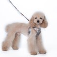 thumbnail image 2 of Arnés para perros oso de fresa Malla suave reflectante Talla S, 2 of 2