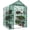Green, variant on Gianna Mini Walk-in Greenhouse Plant Tent with 5/8" Powder-Coated Steel Frame & 22Lbs Capacity Shelves, Weather-Resistant for Outdoor Gardening, 56.3" x 56.3" x 76.77",Green