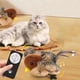 thumbnail image 3 of Juguete Electrónico para Gatos,Juguete Interactivo con Forma Gorrión, Pájaro, Simulación Sonido, Juguetes Peluche para Gatos, Juguetes para Burlas, Juguete para Gatitos Que Cantan, 3 of 6