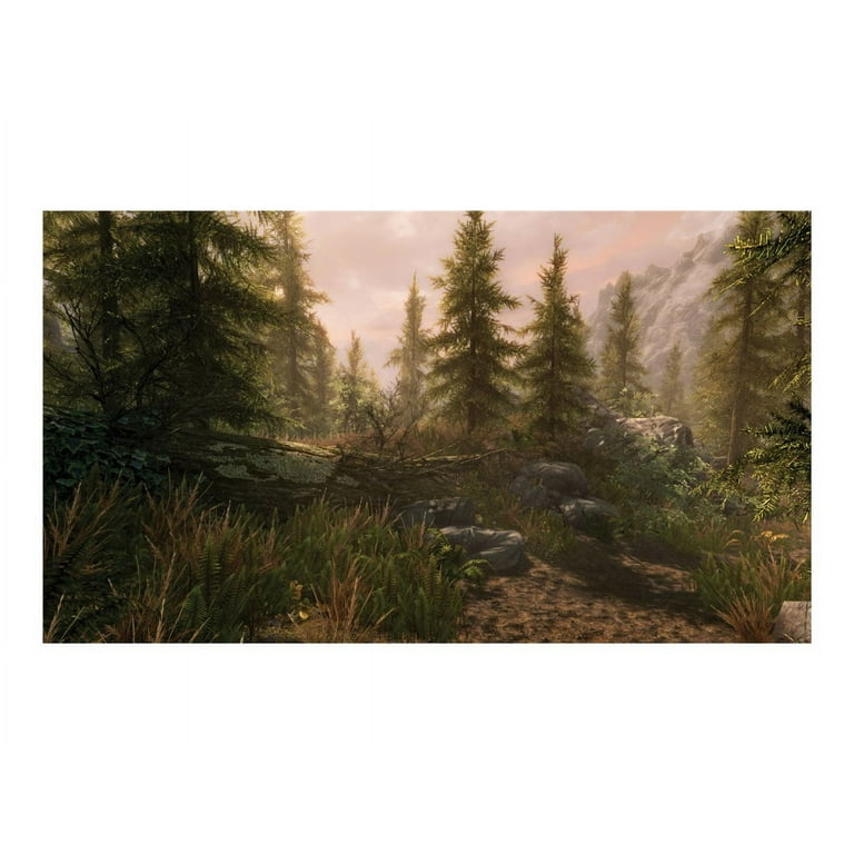 Bethesda's Skyrim VR Game for PlayStation Full-Length Open