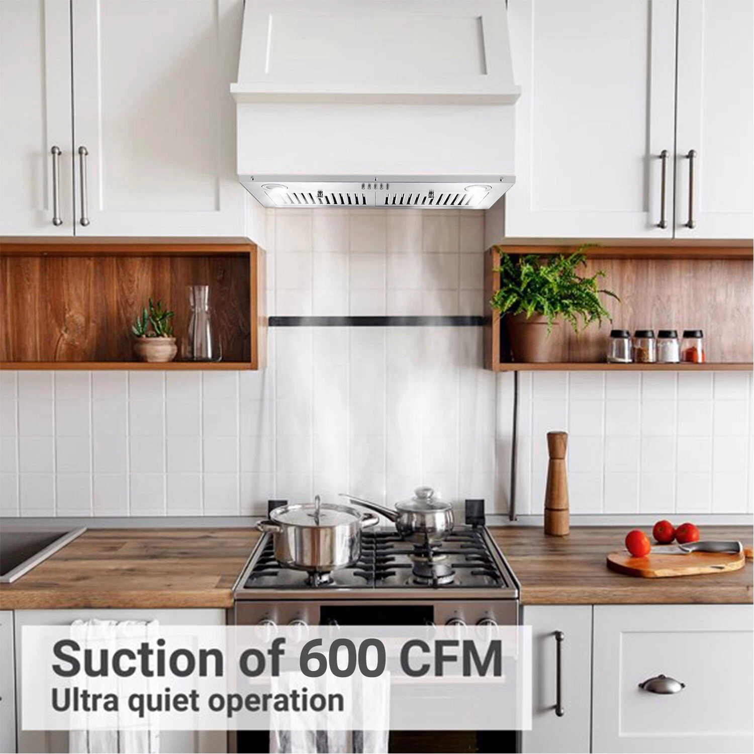Range Hood 30 inch Insert Vent Hood 600 CFM Built-in Stainless Steel Range Hood Powerful Exhaust Vent Fan
