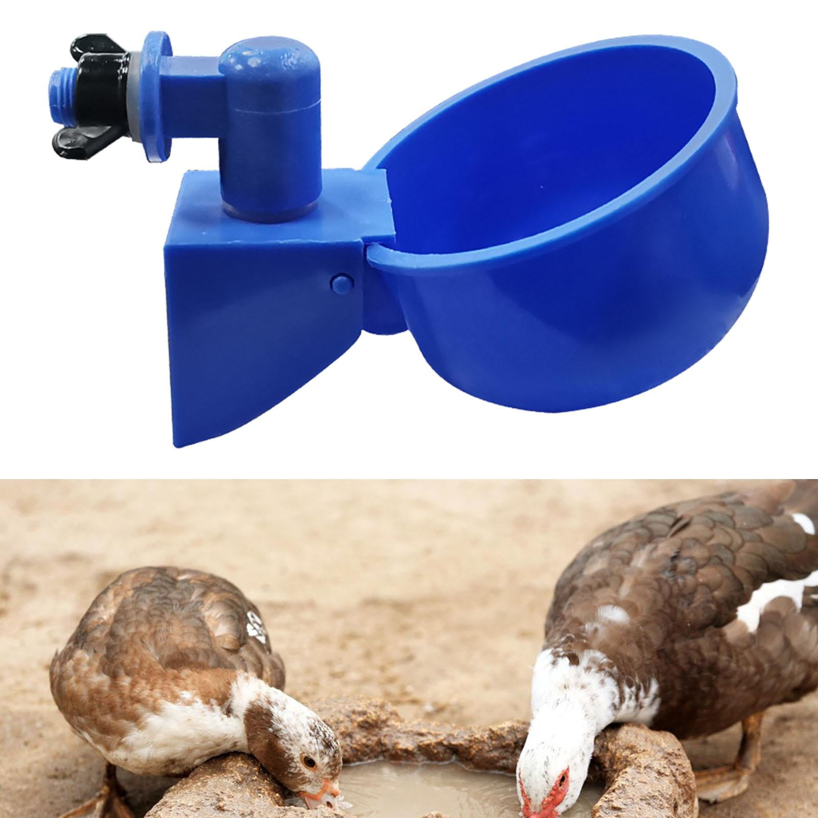 Chicken Cup, Feeder Bowls Automatic Watering Cups for Chicks