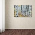 thumbnail image 3 of Pierre Leclerc 'Forest of Aspens' Canvas Art, 3 of 4