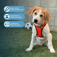 thumbnail image 3 of Voyager Step-in Air All Weather Mesh Harness and Reflective Dog 5 ft Leash Combo with Neoprene Handle, for Small, Medium and Large Breed Puppies - Orange/Black Trim, X-Large, 3 of 8