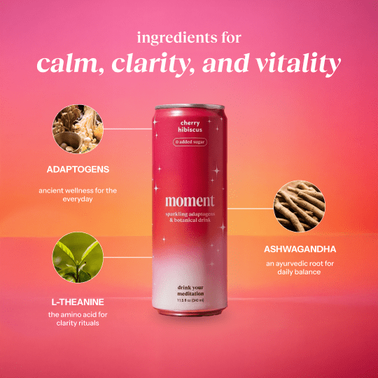 Moment Non Alcoholic Drinks 12-pack Plum Spritz Adaptogen L