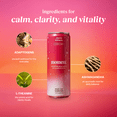 thumbnail image 4 of Moment Mocktails Non Alcoholic Drinks (Shark Tank) | SPARKLING Classics Adaptogen Drink | L-Theanine & Ashwagandha for Calm & Clarity | 0 Added Sugar 0 Caffeine | 12-pack, 4 of 7
